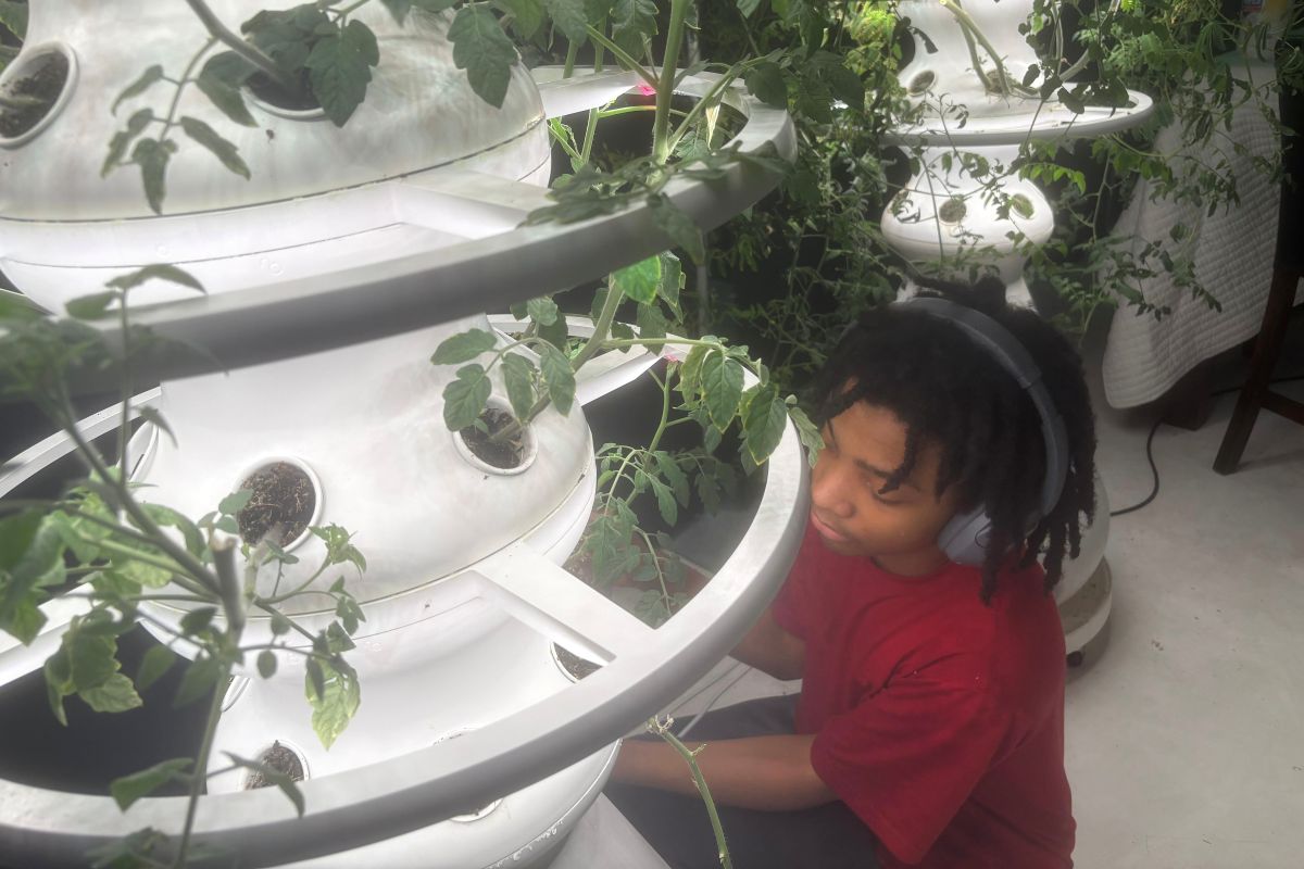 Malon E.D. James with his hydroponics.jpg